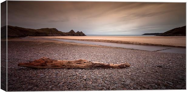  Driftwood at Three Cliffs Bay Canvas Print by Leighton Collins