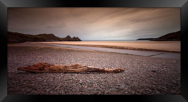  Driftwood at Three Cliffs Bay Framed Print by Leighton Collins