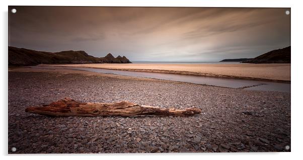  Driftwood at Three Cliffs Bay Acrylic by Leighton Collins