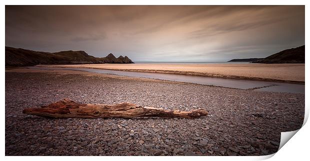  Driftwood at Three Cliffs Bay Print by Leighton Collins