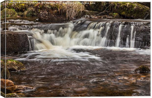  Scar Hill Falls IV Canvas Print by Sandi-Cockayne ADPS