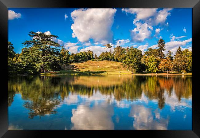  The Esher Lake Framed Print by Colin Evans