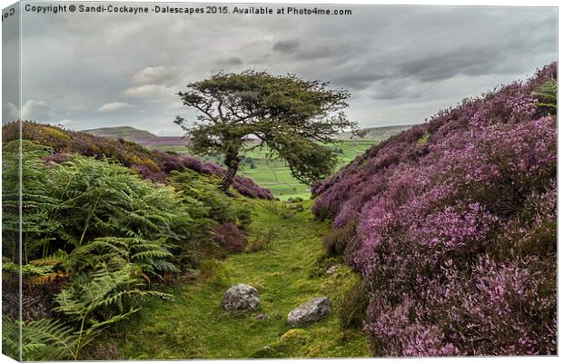  The Gnarly Tree & Heather Of Grinton Moor Canvas Print by Sandi-Cockayne ADPS