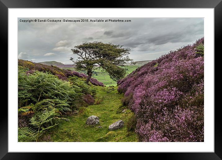  The Gnarly Tree & Heather Of Grinton Moor Framed Mounted Print by Sandi-Cockayne ADPS