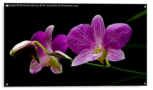 Purple Orchids  Acrylic by Michaela Murray