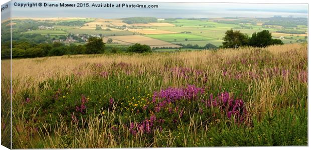 Quantock Hills Somerset  Canvas Print by Diana Mower