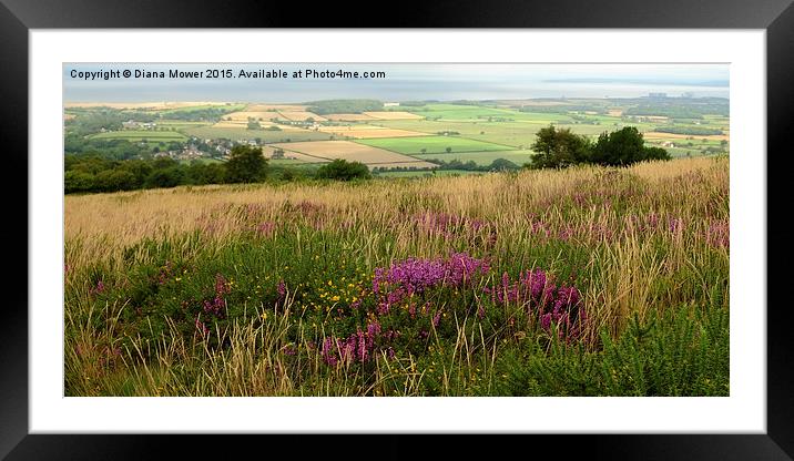 Quantock Hills Somerset  Framed Mounted Print by Diana Mower