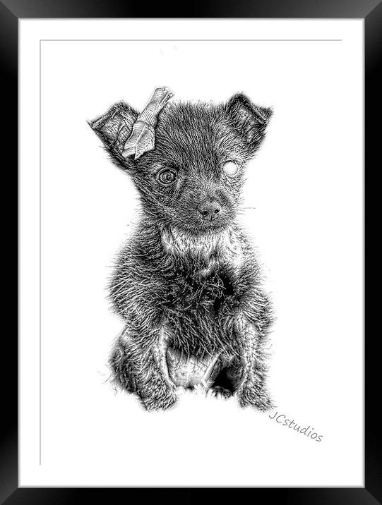  The famous Maggie in pencil by JCstudios Framed Mounted Print by JC studios LRPS ARPS