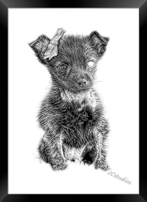  The famous Maggie in pencil by JCstudios Framed Print by JC studios LRPS ARPS