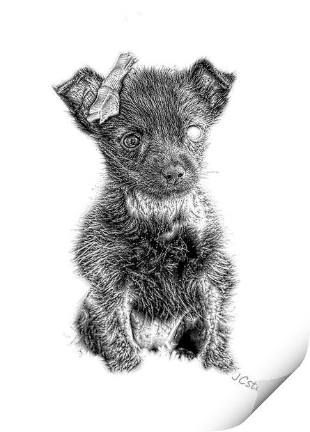  The famous Maggie in pencil by JCstudios Print by JC studios LRPS ARPS