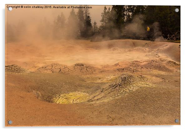  Fountain Paint Pots - Yellowstone National Park Acrylic by colin chalkley