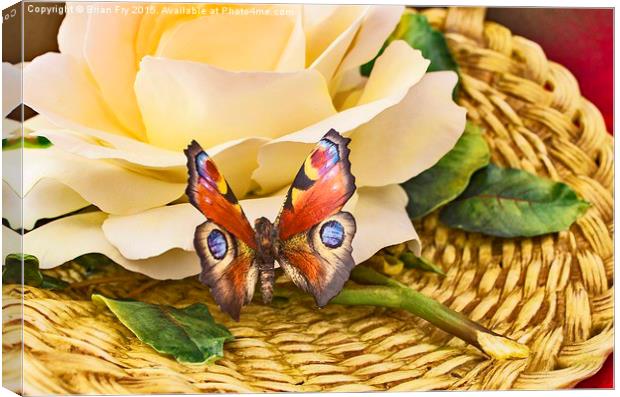  The Butterfly Canvas Print by Brian Fry