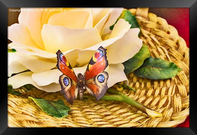  The Butterfly Framed Print by Brian Fry