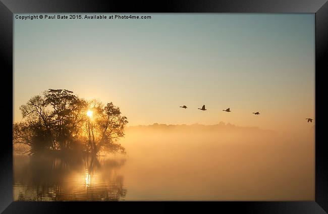  On Golden Pond Framed Print by Paul Bate