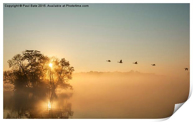  On Golden Pond Print by Paul Bate