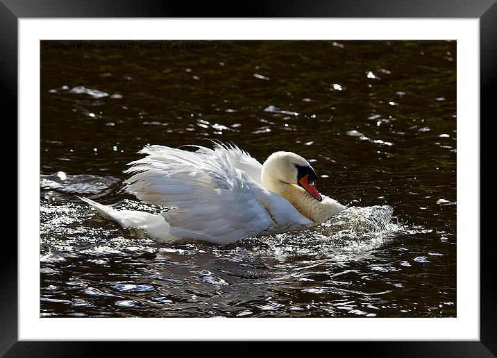  Head down and paddle hard! Framed Mounted Print by Jim Jones