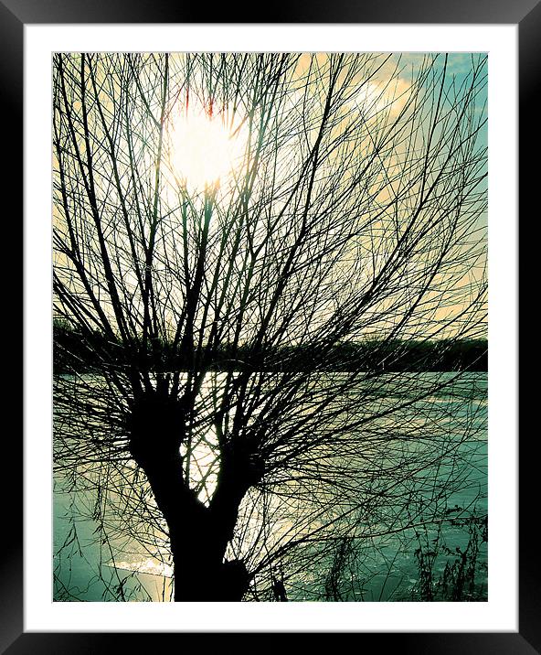 Tree Silhouette Framed Mounted Print by Chris Day