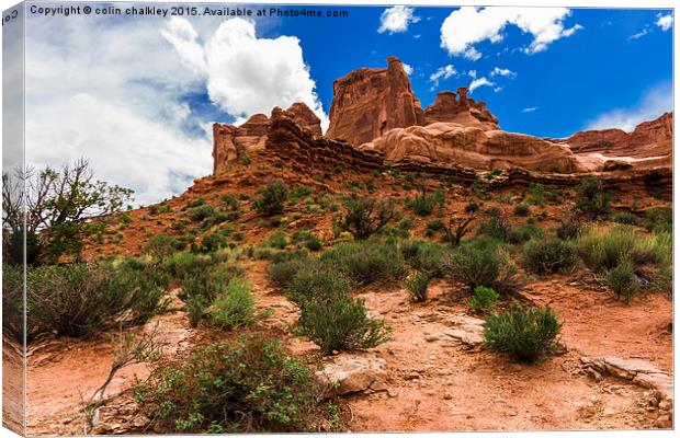 Landscape in Arches National Park, USA Canvas Print by colin chalkley