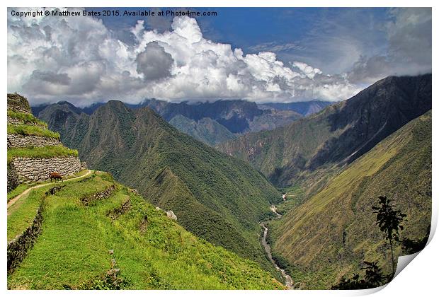  Llama, ruins and supreme valley Print by Matthew Bates