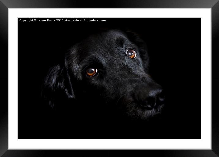  Out Of The Dark Framed Mounted Print by James Byrne