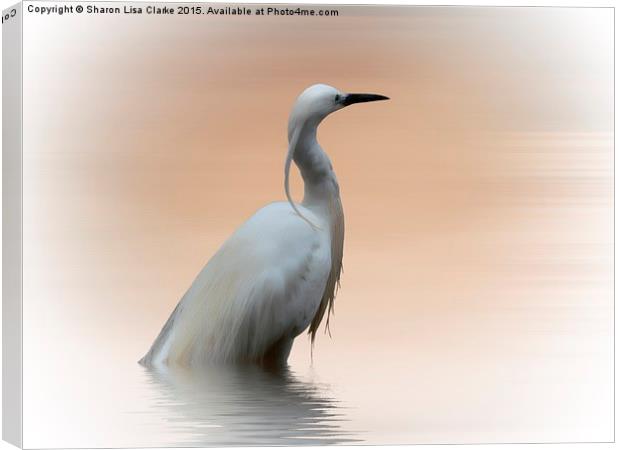  The Water Bird Canvas Print by Sharon Lisa Clarke
