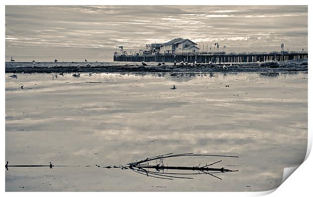 Santa Barbara Sterns wharf Print by Eyal Nahmias