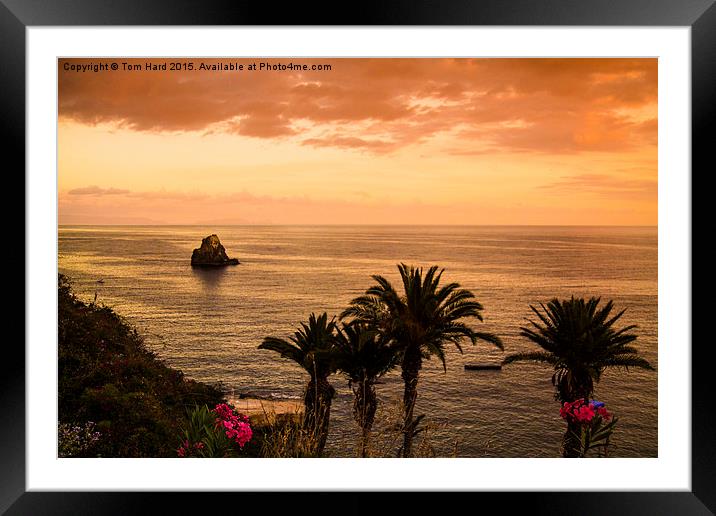  Madeira Sunset Framed Mounted Print by Tom Hard
