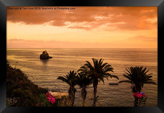  Madeira Sunset Framed Print by Tom Hard