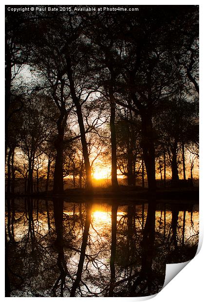  Reflections Print by Paul Bate