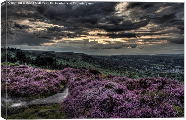 After the Storm - Ilkley Moor Canvas Print by David Oxtaby  ARPS