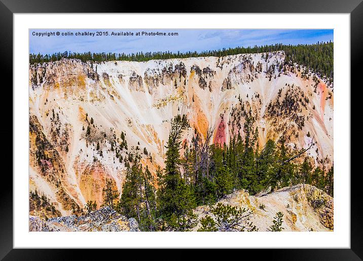  Yellowstone National Park - Lower Falls Framed Mounted Print by colin chalkley