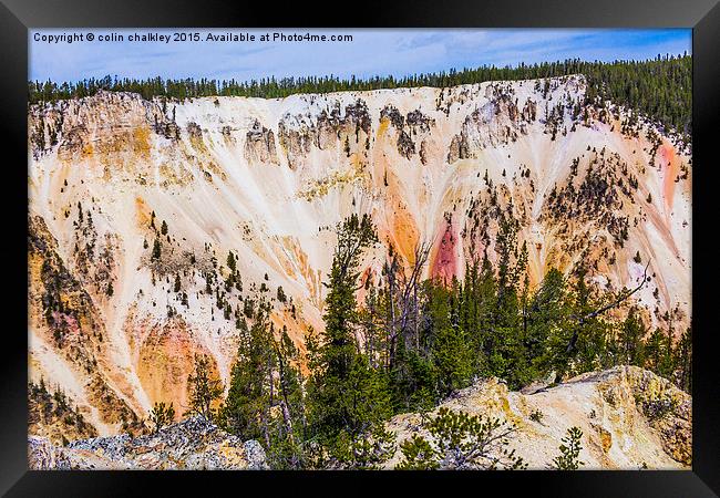 Yellowstone National Park - Lower Falls Framed Print by colin chalkley