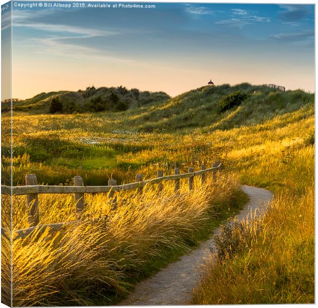 Talacre path Canvas Print by Bill Allsopp