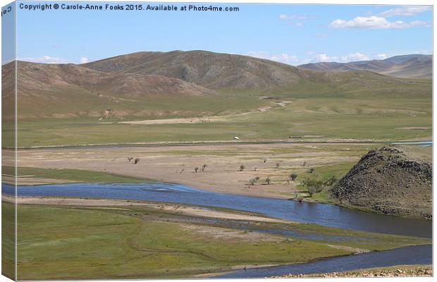   The River Kherlen, Mongolia Canvas Print by Carole-Anne Fooks