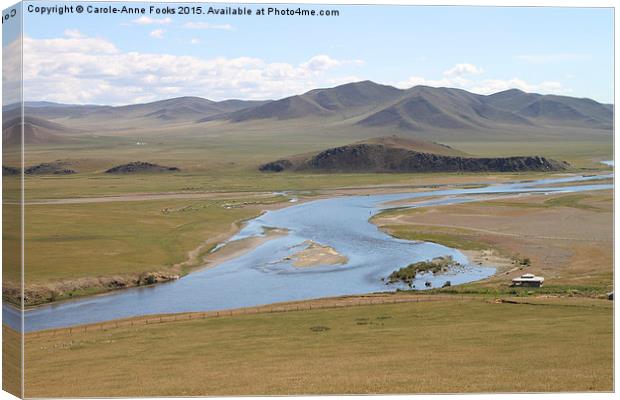 Gun Galuut, Mongolia Canvas Print by Carole-Anne Fooks