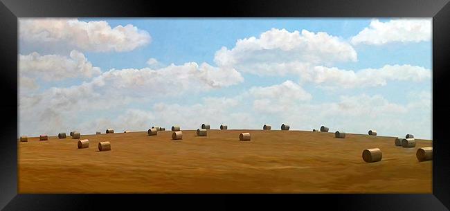  Bale Hill in Summer Framed Print by Trevor Butcher