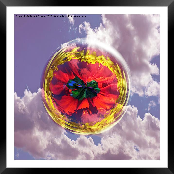  Flower Bubble in the sky Framed Mounted Print by Robert Gipson