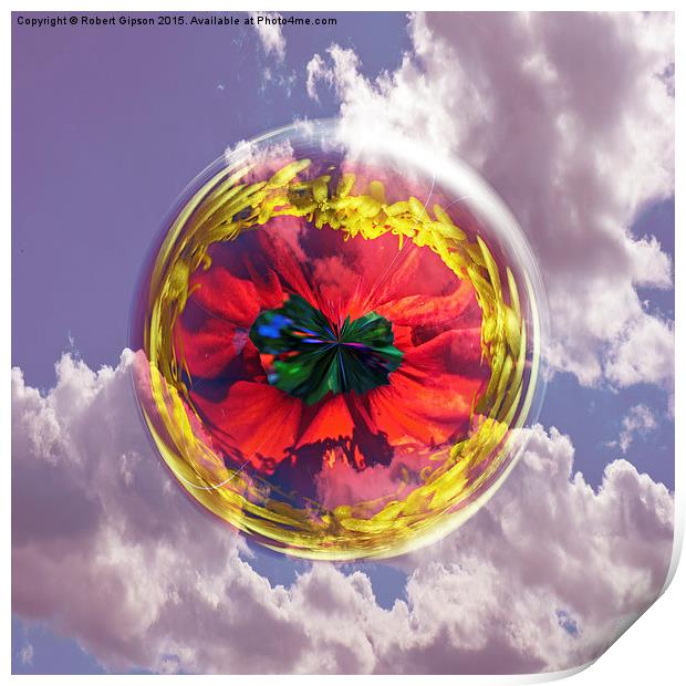  Flower Bubble in the sky Print by Robert Gipson