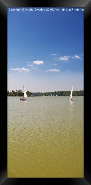 White boats sailing view panorama Framed Print by Arletta Cwalina