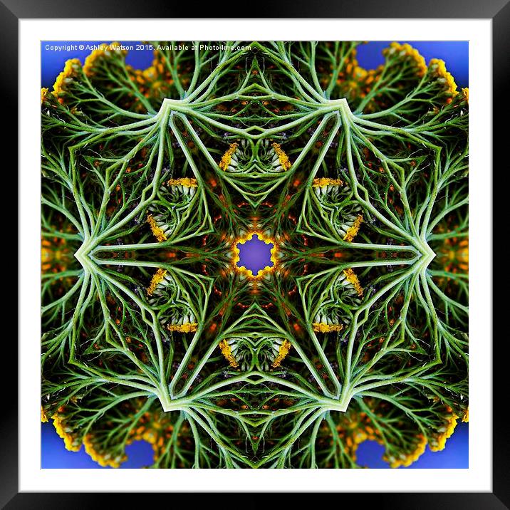  Kaleido Abstract 1023 Framed Mounted Print by Ashley Watson