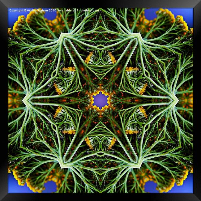  Kaleido Abstract 1023 Framed Print by Ashley Watson