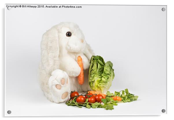 The Easter Bunny Acrylic by Bill Allsopp
