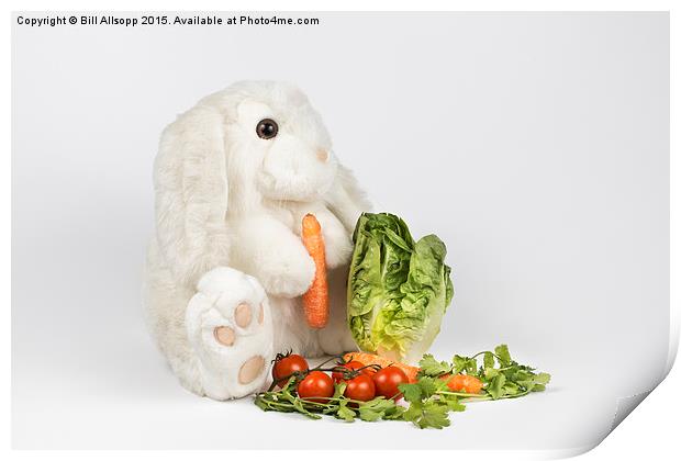 The Easter Bunny Print by Bill Allsopp