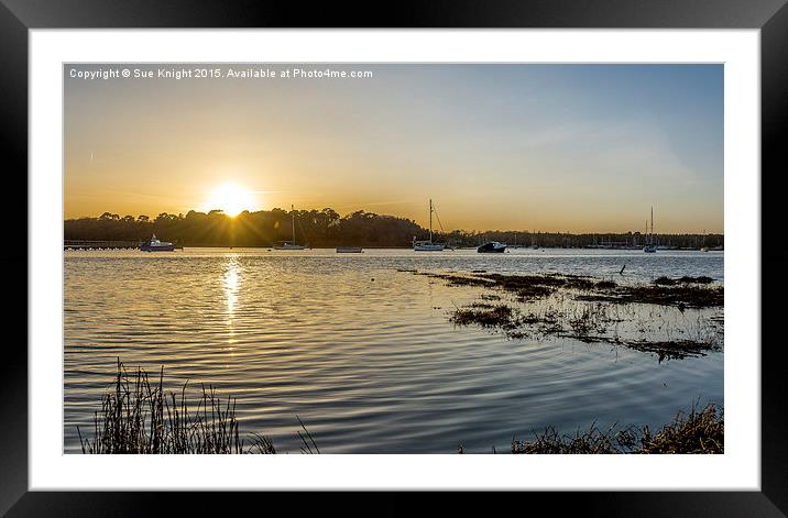  Beaulieu River sunset Framed Mounted Print by Sue Knight