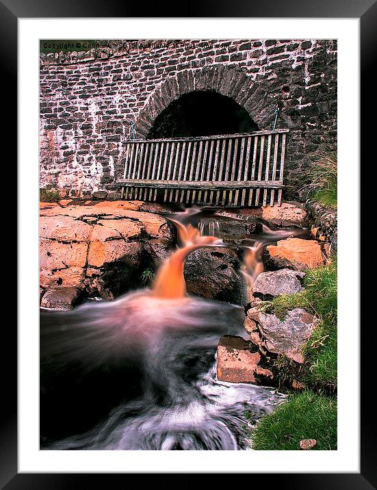 Long Gill  Framed Mounted Print by Colin irwin