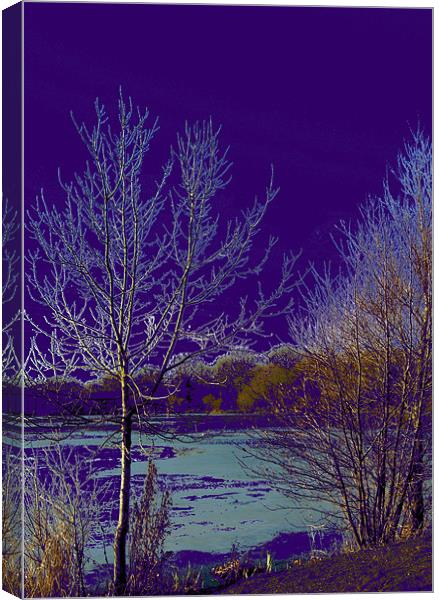 Surreal Icy lake in Purple Canvas Print by Chris Day