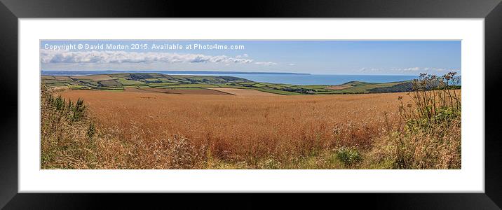 Wheat Ready for the Harvest Framed Mounted Print by David Morton