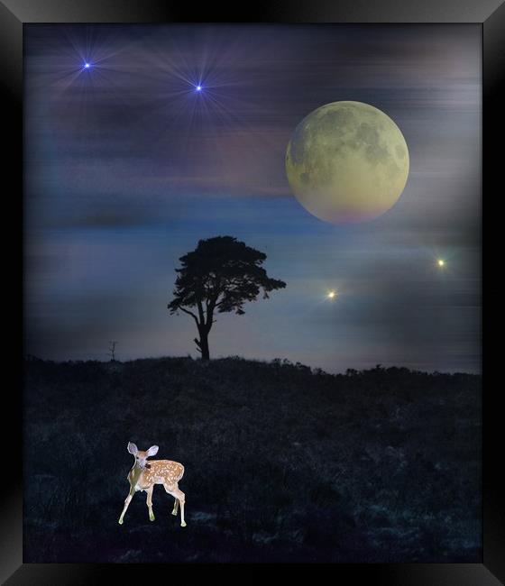  The Moon Gazer. Framed Print by Heather Goodwin