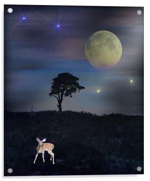  The Moon Gazer. Acrylic by Heather Goodwin