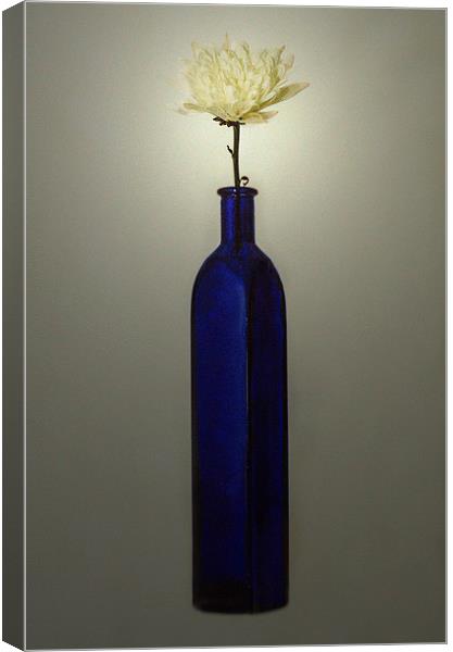  Blue Bottle Canvas Print by David Martin